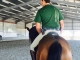 Equinoterapia