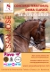 Avance de Programa CDT Junio 22