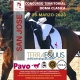 Concurso de Doma Clásica Territorial San José. Castilla La Mancha.